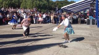 Cueca campesina en Ninhue fiesta de la vendimia [upl. by Romeo]