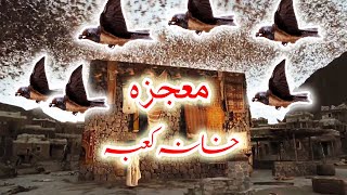 Ashab e Feel Ka Waqia  Ababeel Bird In Makkah  Prophet Muhammad Movie Full  Qasas ul Anbiya [upl. by Elay]