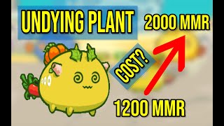 JOBOLS UNDYING PLANT  PLANT BEAST PLANT FT KAP CRIT NATION  ROAD TO 2000 MMR  AXIE INFINITY [upl. by Dahij]