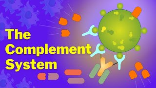 The Complement System is SO EASY Stop Making it Hard [upl. by Dorree]