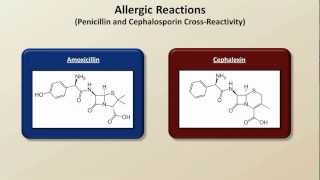 Important Side Effects and Toxicities Antibiotics  Lecture 8 [upl. by Enaoj]