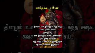 2 thuli kanner pothum devotionalsongs murugantemple shortvideo deepamalai sivantemple [upl. by Lenor]