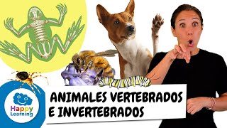 Animales Vertebrados e Invertebrados en Lengua de Signos  Happy Learning 🐟🐌✨ [upl. by Panther420]