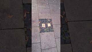 Stolpersteine 315 [upl. by Madelene78]