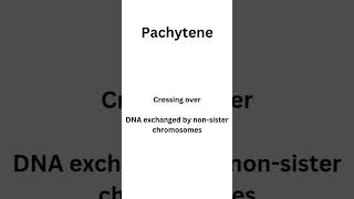 Meiosis Prophase 1 sub stages  Leptotene Zygotene Pachytene Diplotene and Diakinesis botany [upl. by Alber]