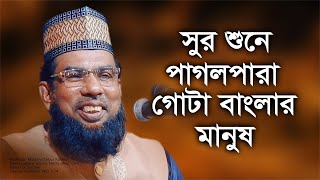 সুর শুনে পাগলপারা গোটা বাংলার মানুষ । মাওলানা তৈয়েবুর রহমান  Taibur Rahman  Bangla Waz  Waz tv24 [upl. by Loginov]