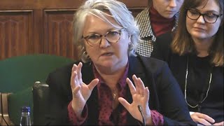 Chief Executive Sue Pritchard briefs Environmental Audit Committee [upl. by Meridith]