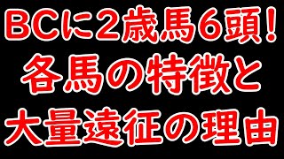 BCにサトノカルナバルなど2歳馬6頭が遠征！ 各馬の特徴と大量遠征のの理由！今後も大量遠征続く？【POG2425】 [upl. by Chelton]