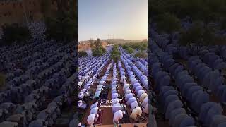 Les images magnifiques de la célébration de lAid à Ghardaia [upl. by Xilef]