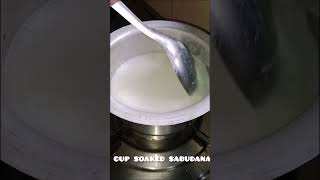 SABUDANA KHEER RECIPE ll Laxmilife31 [upl. by Brian]