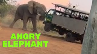 Angry Elephant Attacks Game Ranger amp Tourists’ Vehicle Aboard In South Africa [upl. by Egon]