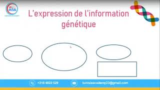 SVT bac science ‐ [upl. by Tloh219]