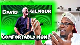 ALMOST BOUGHT ME🎸TO TEARS 😭 Pink Floyd  Comfortably Numb Pompeii Concert REACTION [upl. by Ahsenrad]