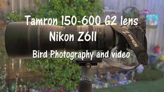 Tamron 150600 G2 Lens on Nikon Z6II bird video and photography [upl. by Denny]