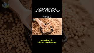 🥛COMO se HACE la LECHE en POLVO Parte 2 [upl. by Mullen632]