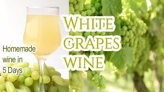 Homemade White Grapes Wine Recipe  Grape Wine  White Wine in 5 Days  Instant Wine [upl. by Mirella]