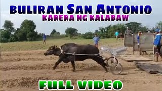 full video Buliran San Antonio nueva ecija karera ng kalabaw 2024 [upl. by Arbua905]