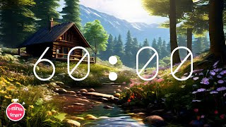 1 Hour Timer  Folk Music  Positive Vibes for Study or Work [upl. by Rebmak]