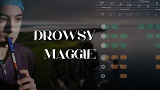 Drowsy Maggie  TUTORIAL  Tin Whistle [upl. by Yerffej980]