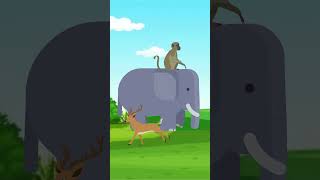 True Race  One Minute Story  Cartoons  cartoonanimal [upl. by Mochun]