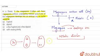 In a flower if the megaspore mother cell forms magaspores without undergoing meiosis [upl. by Hsirrehc888]