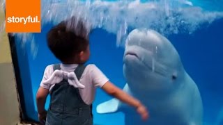 Beluga Whale Sprays Kid [upl. by Octavian212]