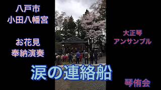 都はるみの涙の連絡船を大正琴アンサンブルで、八戸市の小田八幡宮 神楽殿にて、お花見に奉納した [upl. by Zaid362]