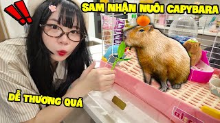 SAMMY NHẬN NUÔI BÉ CAPYBARA SIÊU ĐÁNG YÊU [upl. by Ynohta963]