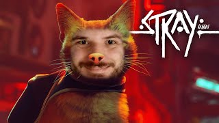 O JOGO DO GATO QUE TÁ TODO MUNDO JOGANDO  Stray [upl. by Osicran]