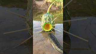 Survival Skills Simple and Useful with Pumpkin Fish trap survival bushcraft outdoors shrots [upl. by Aulea532]