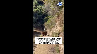 Runner faces off with bears on California hiking trail [upl. by Airdnal]