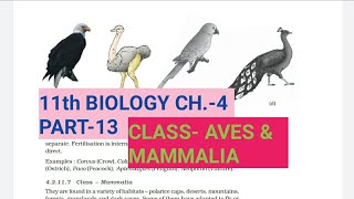 Class 11 BiologyCh4 Part13Class Aves amp MammaliaStudy with Farru [upl. by Reffotsirk421]