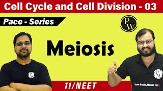 Cell cycle and cell division 03  Meiosis  Class 11  CBSE  NCERT  NEET [upl. by Emina536]