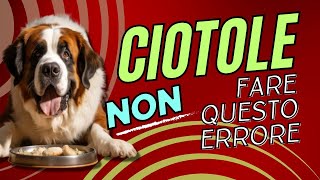 Come scegliere la ciotola del cane e dove posizionarla [upl. by Eseerehs]