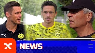 Lucien Favre Thomas Delaney und Sebastian Kehl vor dem Supercup  Borussia Dortmund  SPOX [upl. by Jeffries]