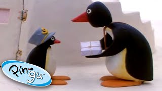 Pingu Delivers the Mail  Pingu Official  Cartoons for Kids [upl. by Zolly]