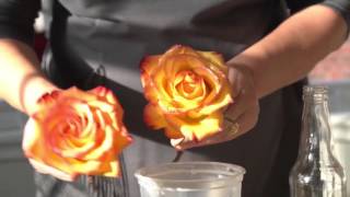 How to Preserve Flowers with Wax [upl. by Llebasi]