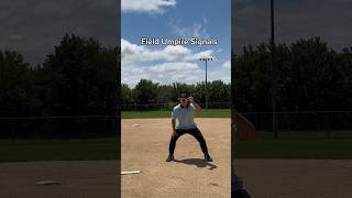 Field Umpire Signals 🤣🤣🤣 baseball umpire signals comedy [upl. by Smaj906]