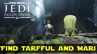 Find Tarfful and Mari in Kashyyyk  Star Wars Jedi Fallen Order [upl. by Llywellyn]