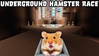 Hamster in UNDERGROUD MAZE Roller Coaster 😲 in Minecraft [upl. by Eran]