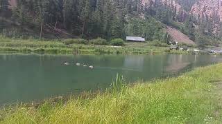 Walking Around the Seven Springs Ponds Jemez Mountains New Mexico [upl. by Carmen382]