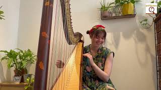 The Electric Harpist  Still Dre Dr Dre cover  Find a Performer [upl. by Samuele]