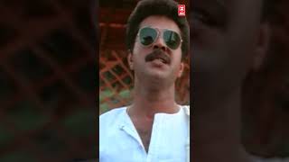 ഓ എന്റെ കൈ തരിക്കുന്നു Kottayam Kunjachan  Mammootty shorts [upl. by Noiwtna410]