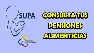 Consulta tus Pensiones Alimenticias – SUPA [upl. by Puett]