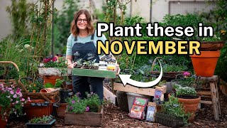 NOVEMBER PLANTING GUIDE Top Veggies Flowers and Herbs for Your Fall Garden [upl. by Komsa]