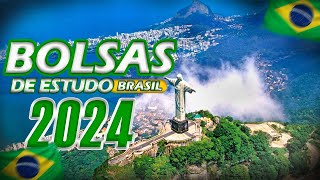 Tudo sobre as Principais Bolsas de Estudo no Brasil  2023 2024 [upl. by Beera]