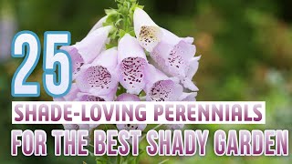 25 Shade Loving Perennials For The Perfect Garden In The Shade [upl. by Corliss341]