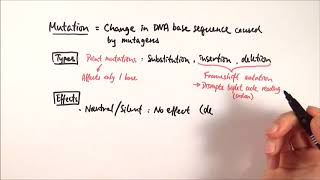 A2 Biology  Types of mutations OCR A Chapter 191 [upl. by Ailito]