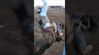 Crazy recovery The first TPBR in Faulkton 2023 pbr prorodeo bullriding 2023 [upl. by Ydnes]