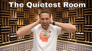 The Loudest Sound In The Quietest Room [upl. by Yelha987]